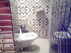 Spy toilet 2423