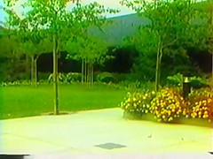 Tracey Adams And Tiara Lesbian Scene
