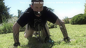 Trampled In The Sun