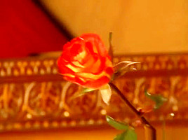 True Bollywood Seduction