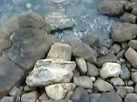 Une nana timide baise finalement sur un rocher de plage