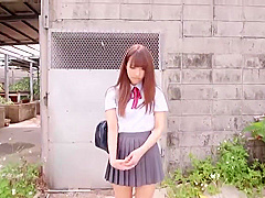 WJN241-BGOEUNOTSB370425326