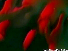 Watching The Lovely Seka Getting Fucked In The Seventies