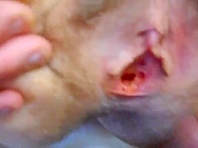 Wife masturbates and spreads pussy for cum