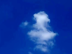 ZGY050-PUGOFMQZBS725078380