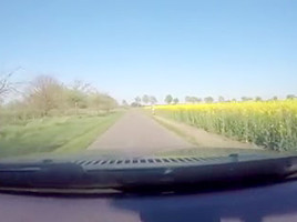german amateur outdoor blowjob big facial!