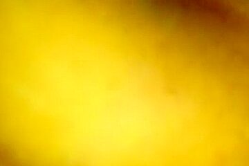 girl with creamy pussy gets pov fucked with ass cumshot