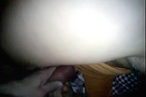 pussy